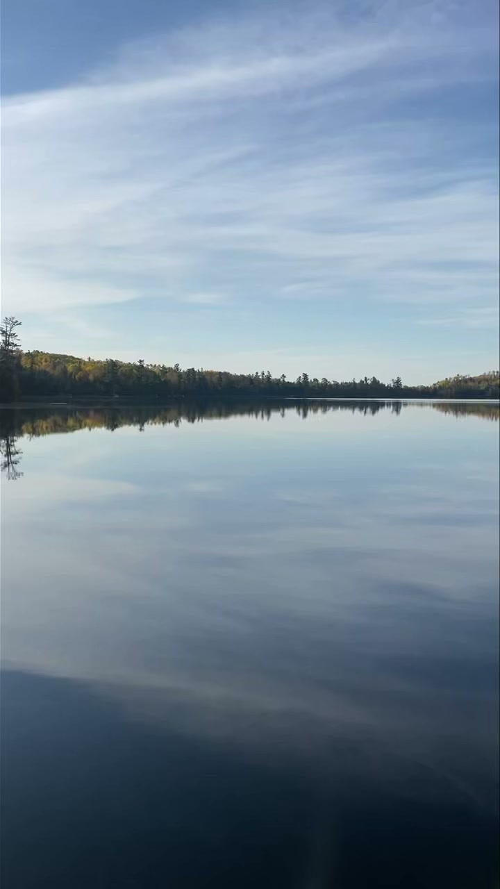 TimberWolff Realty